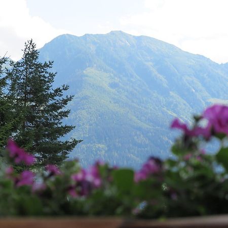 Haus Enzian Lägenhet Sankt Johann im Pongau Exteriör bild