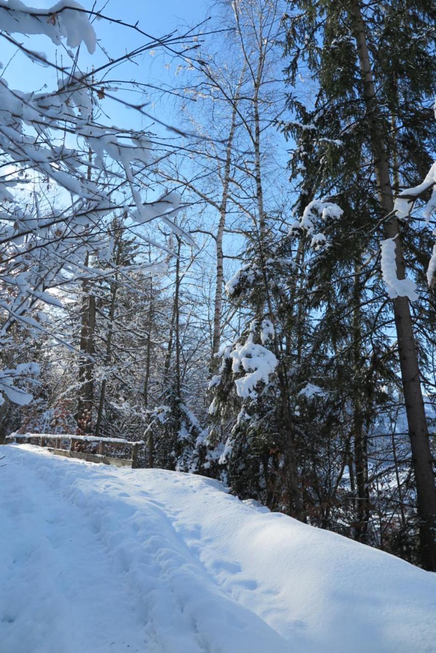 Haus Enzian Lägenhet Sankt Johann im Pongau Exteriör bild