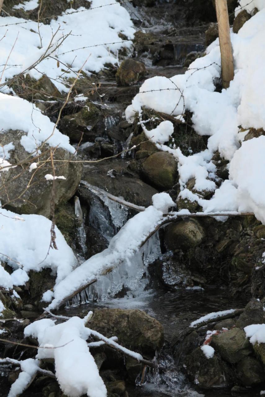 Haus Enzian Lägenhet Sankt Johann im Pongau Exteriör bild