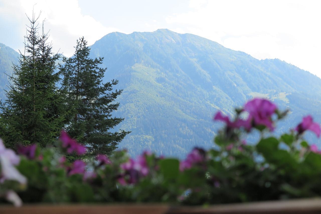 Haus Enzian Lägenhet Sankt Johann im Pongau Exteriör bild