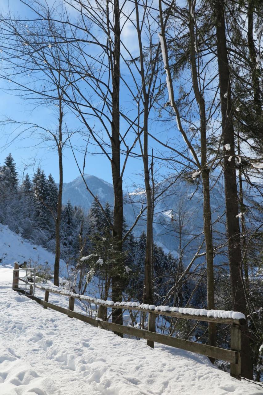Haus Enzian Lägenhet Sankt Johann im Pongau Exteriör bild
