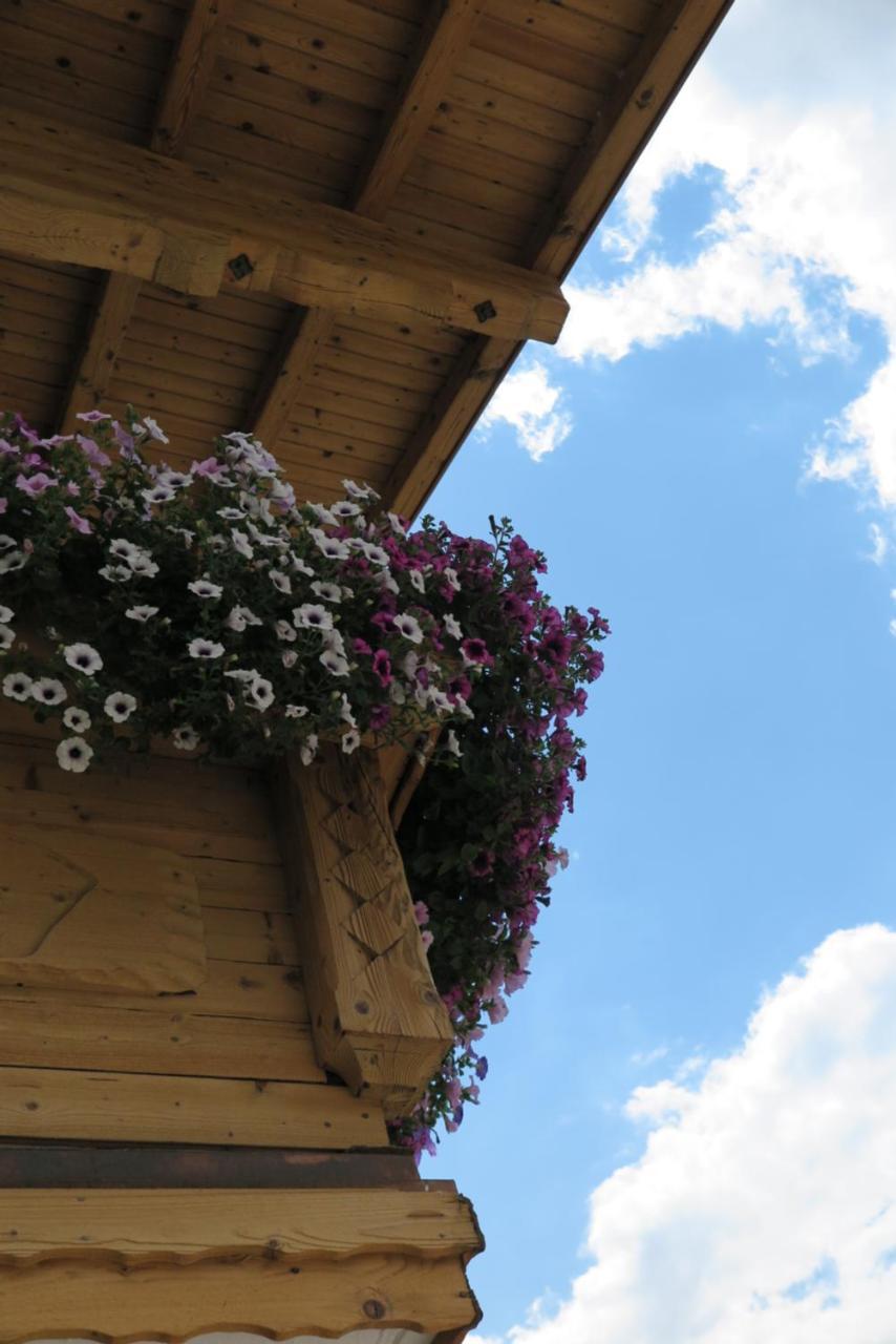 Haus Enzian Lägenhet Sankt Johann im Pongau Exteriör bild
