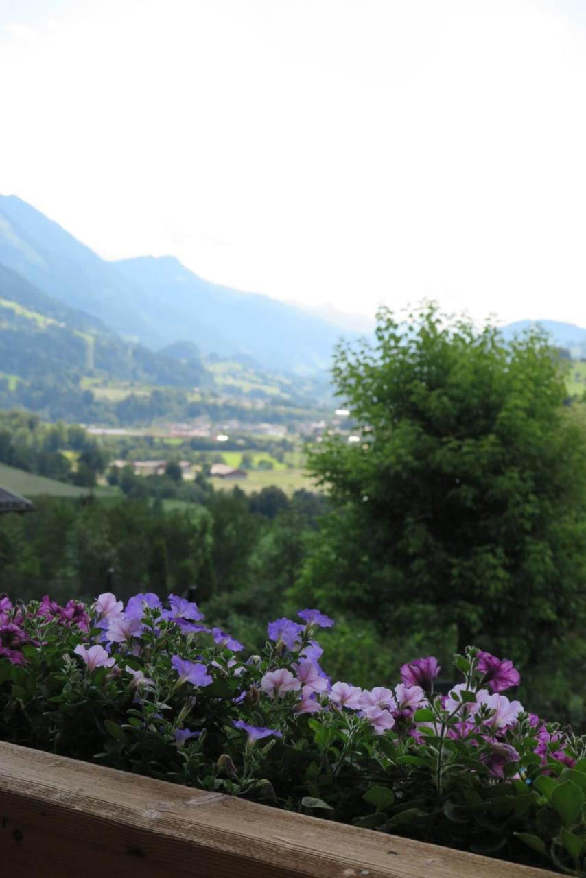 Haus Enzian Lägenhet Sankt Johann im Pongau Exteriör bild